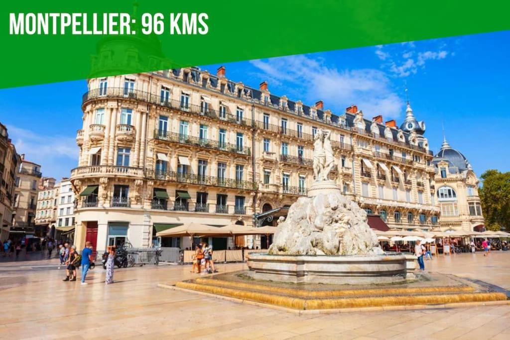 Les Toits Des Papes - Clim - Wifi - Appartement Avignon